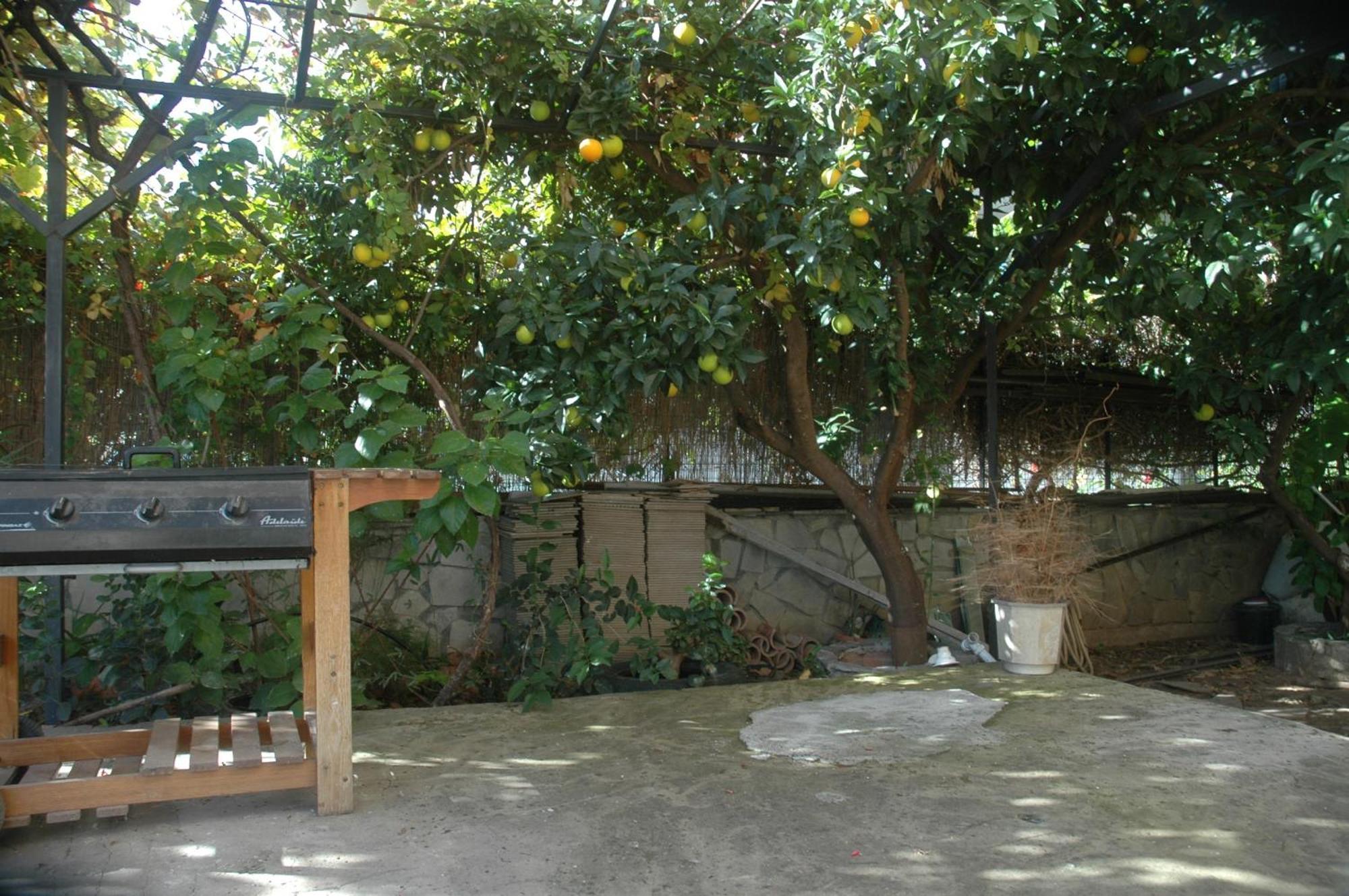 Mare - Mare B Hotel Patras Exterior photo