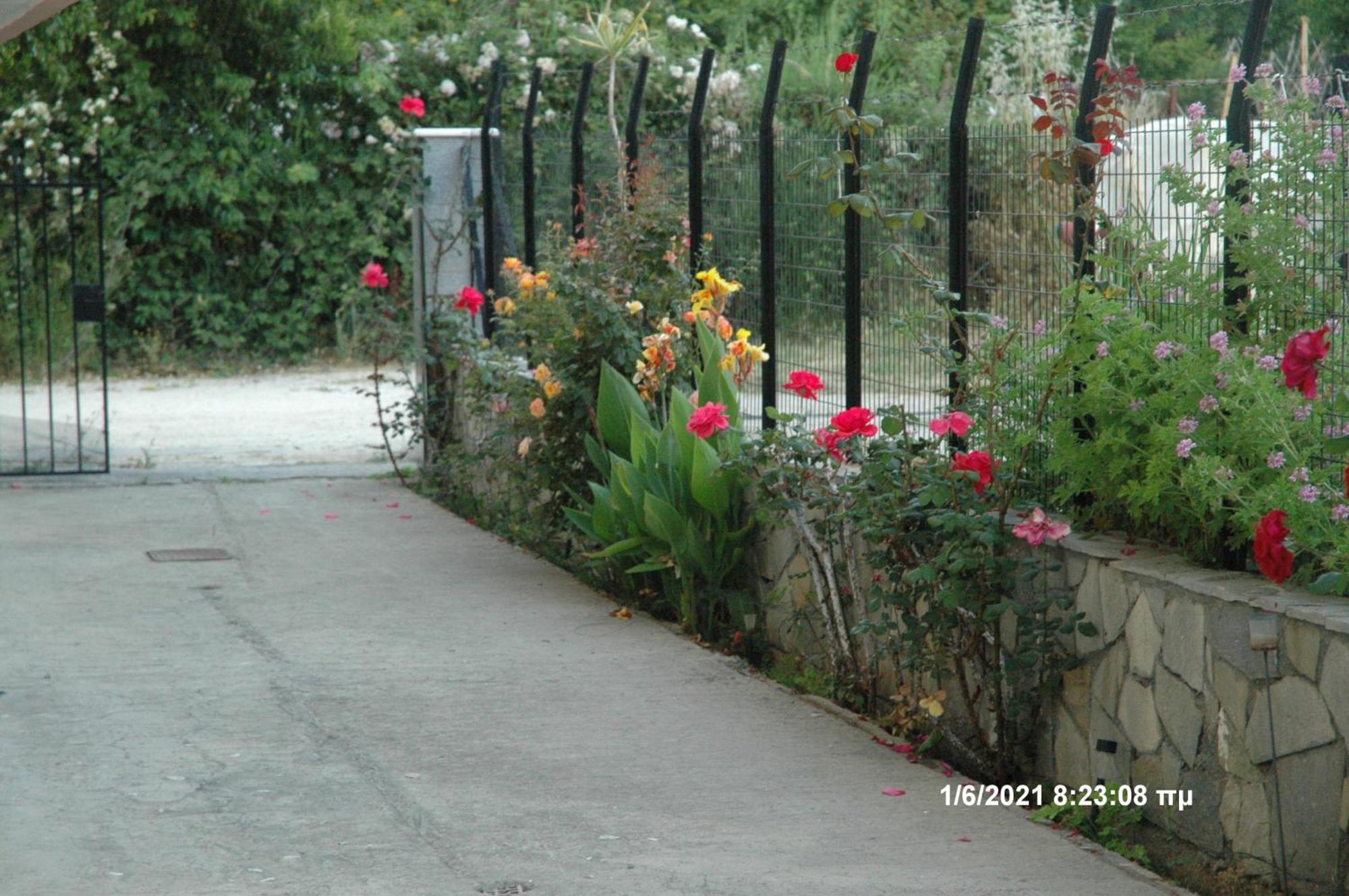 Mare - Mare B Hotel Patras Exterior photo